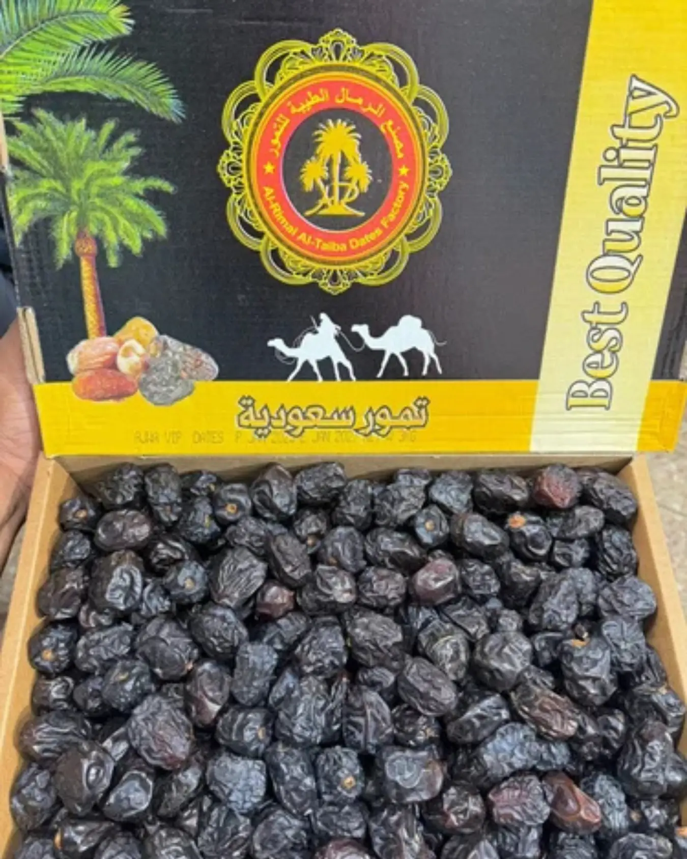 Dates Wholesaler